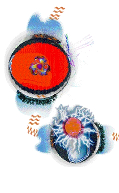Art 16.tif