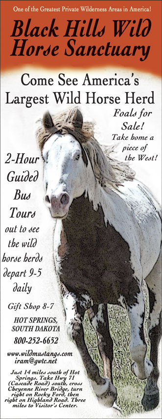 BHWildHorseSanc4_06.jpg