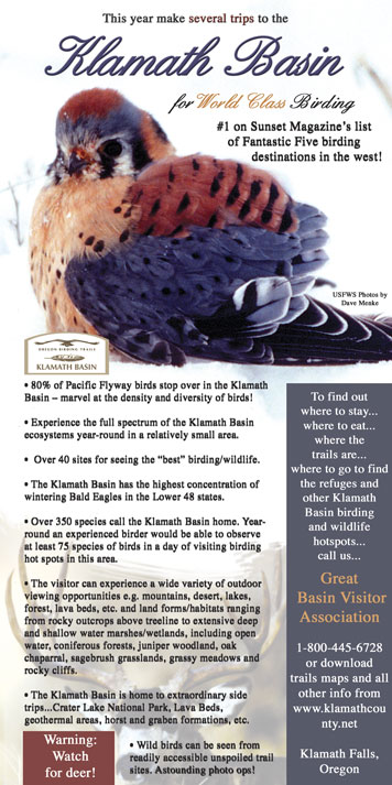 Birding2_3pga.jpg