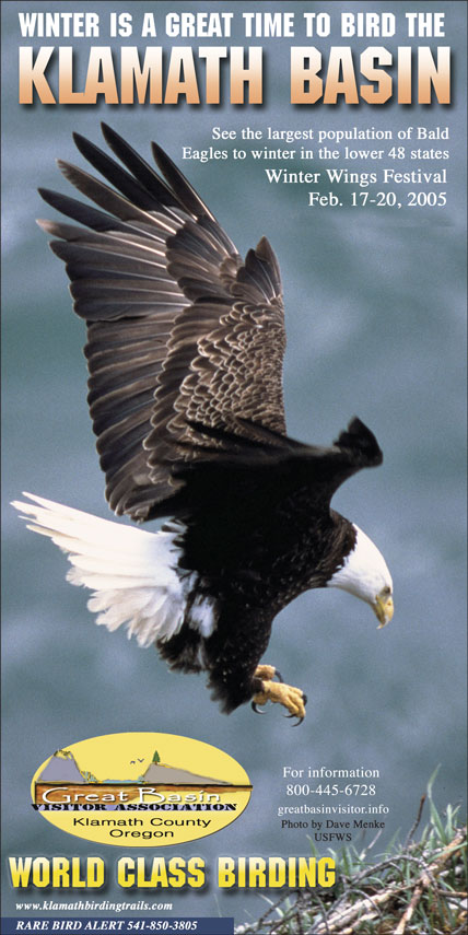 BirdingMag9-04b.jpg