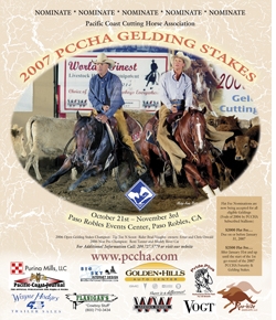 PCCHAGeldingAdweb.jpg
