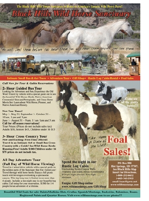 VisitorAd11-06web.jpg