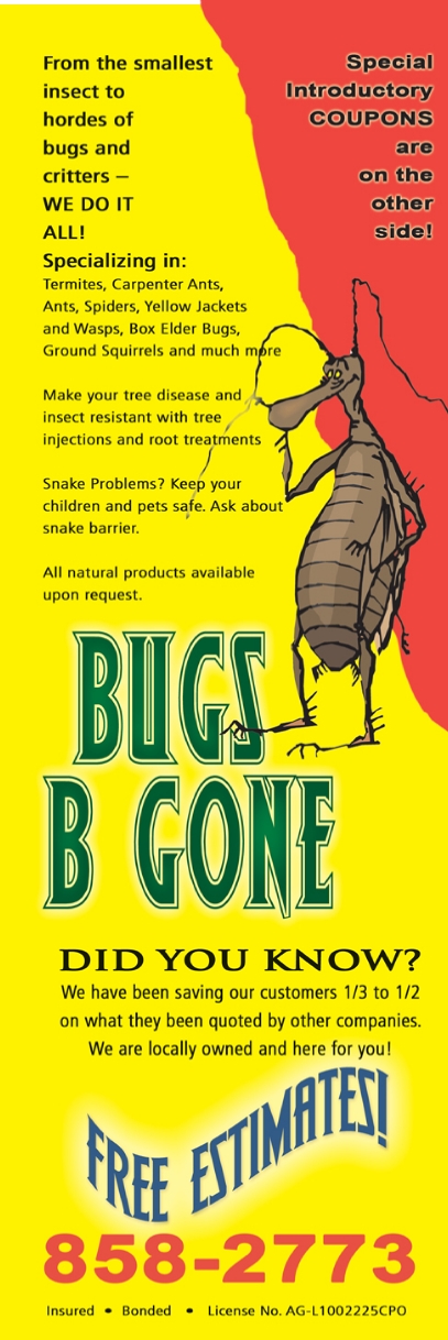 BugsdoorhangerfrontMed