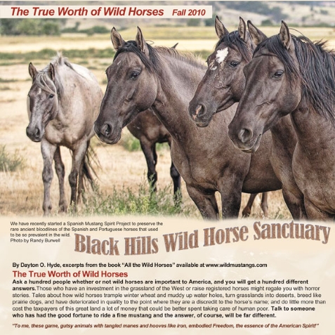 Fall2010BHWHSNewsletterCover