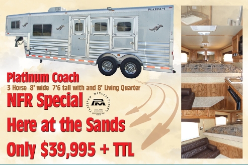 PlatCoachPoster