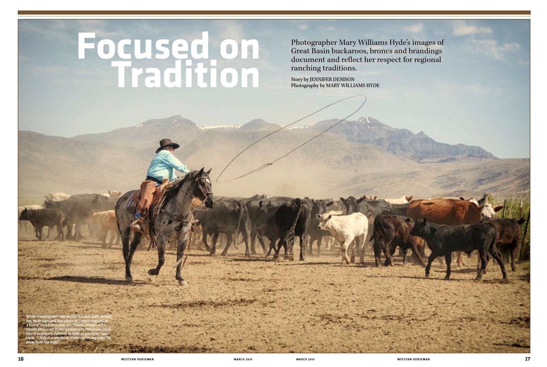Cowboy on horseback herding cattle in desert landscape, photographed by Mary Williams Hyde